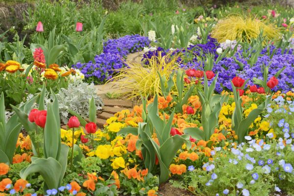 Garden Renovation in Crown Point