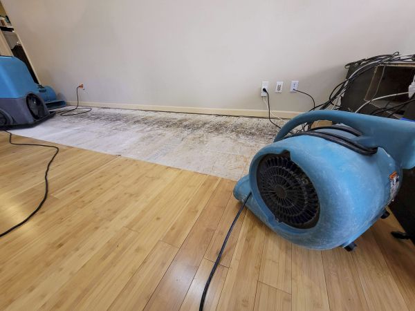 Water Damage Mitigation in Crown Point