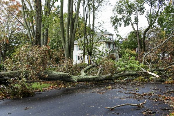 Tornado Damage Repair in Crown Point