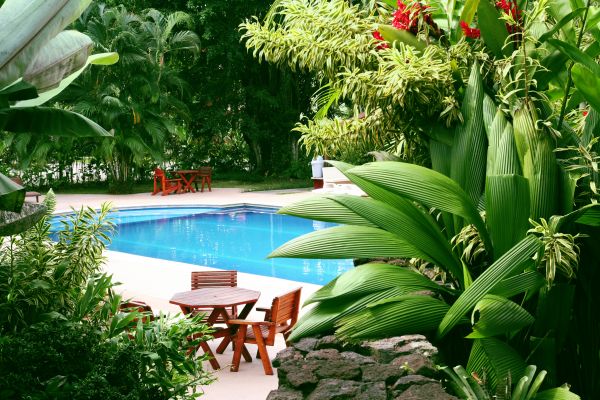 Pool Area Landscaping in Crown Point