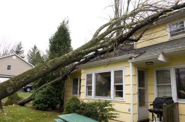 Storm Damage Mitigation in Crown Point