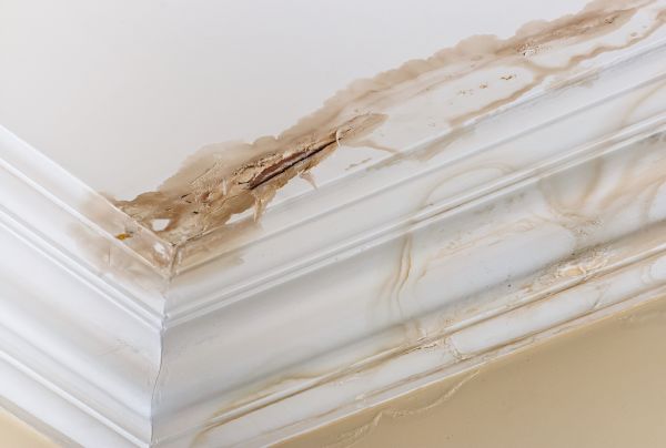 Water Damage Recovery in Crown Point