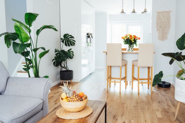 Bamboo Flooring Installation